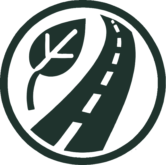 check-icon